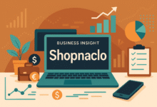 business insight Shopnaclo